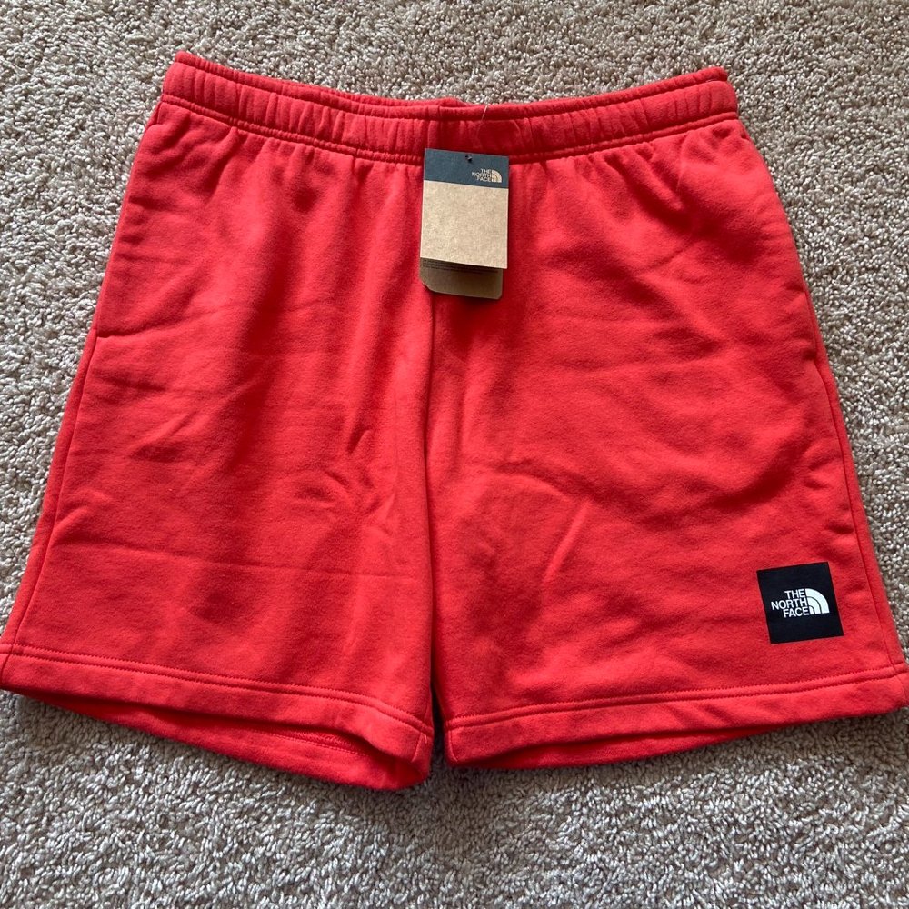 North Face fleece shorts men L